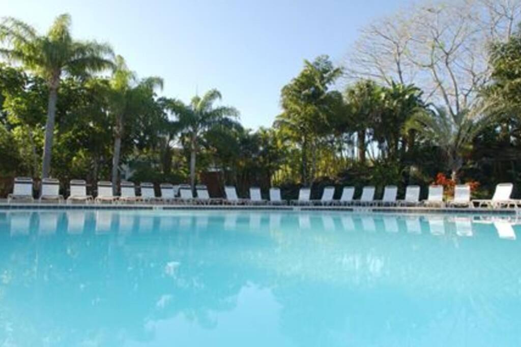 Park Shore Beautiful Floor 2bed 2bath Apartment
